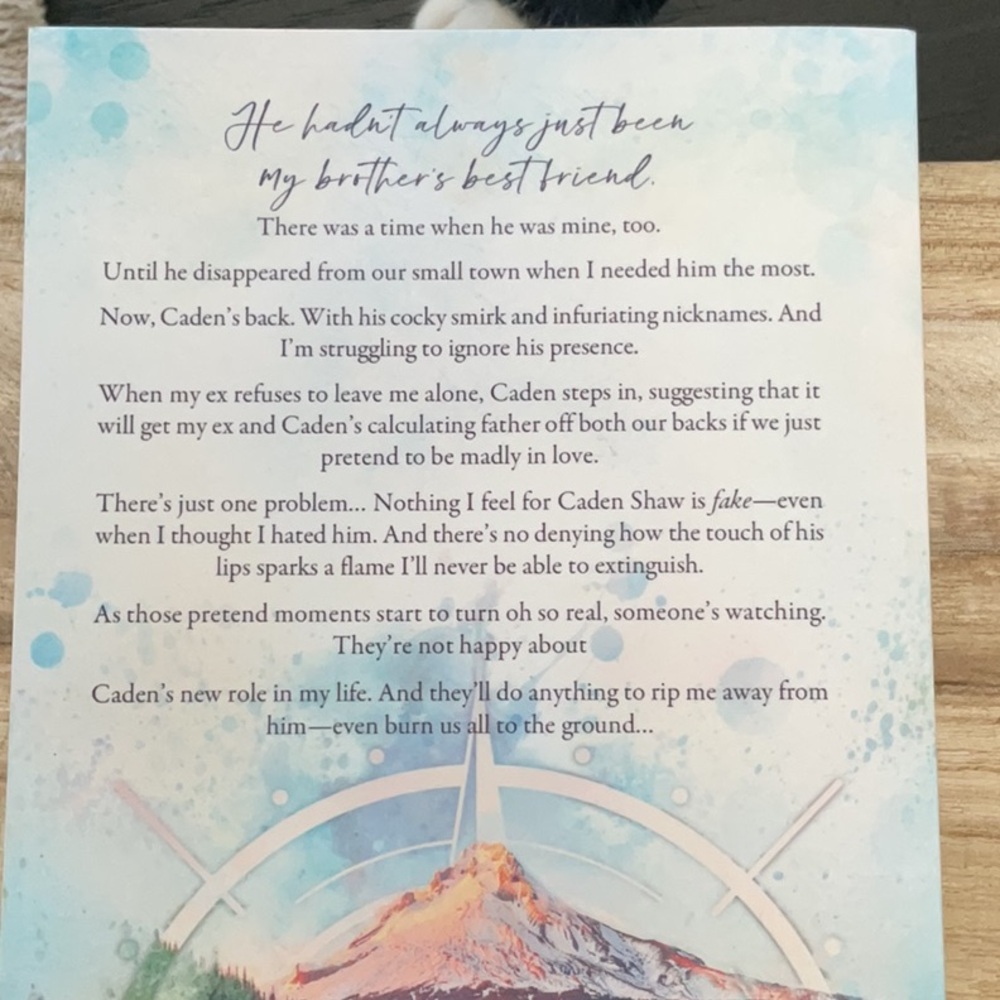 The Lost & Found Series by Catherine Cowles - Picture 5 of 14